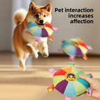 Pet Stimulation Frisbee