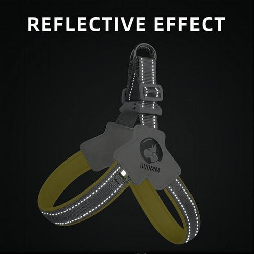 Adjustable Dog Harness (Color Options)