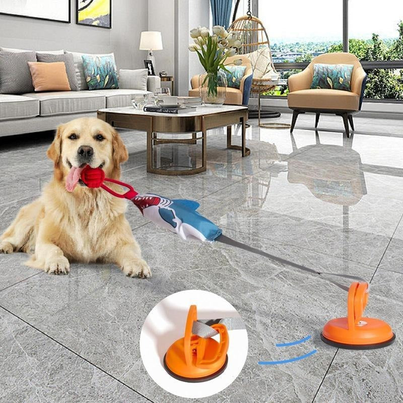 Interactive Shark Rope