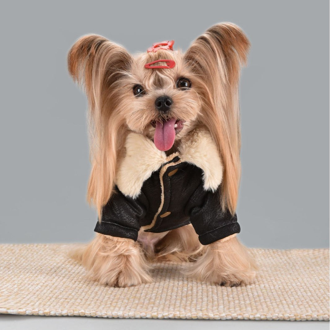 Pet Clothing Jacket