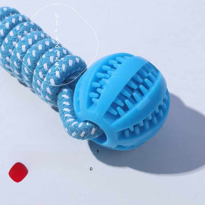Rope & Ball Dog Toy