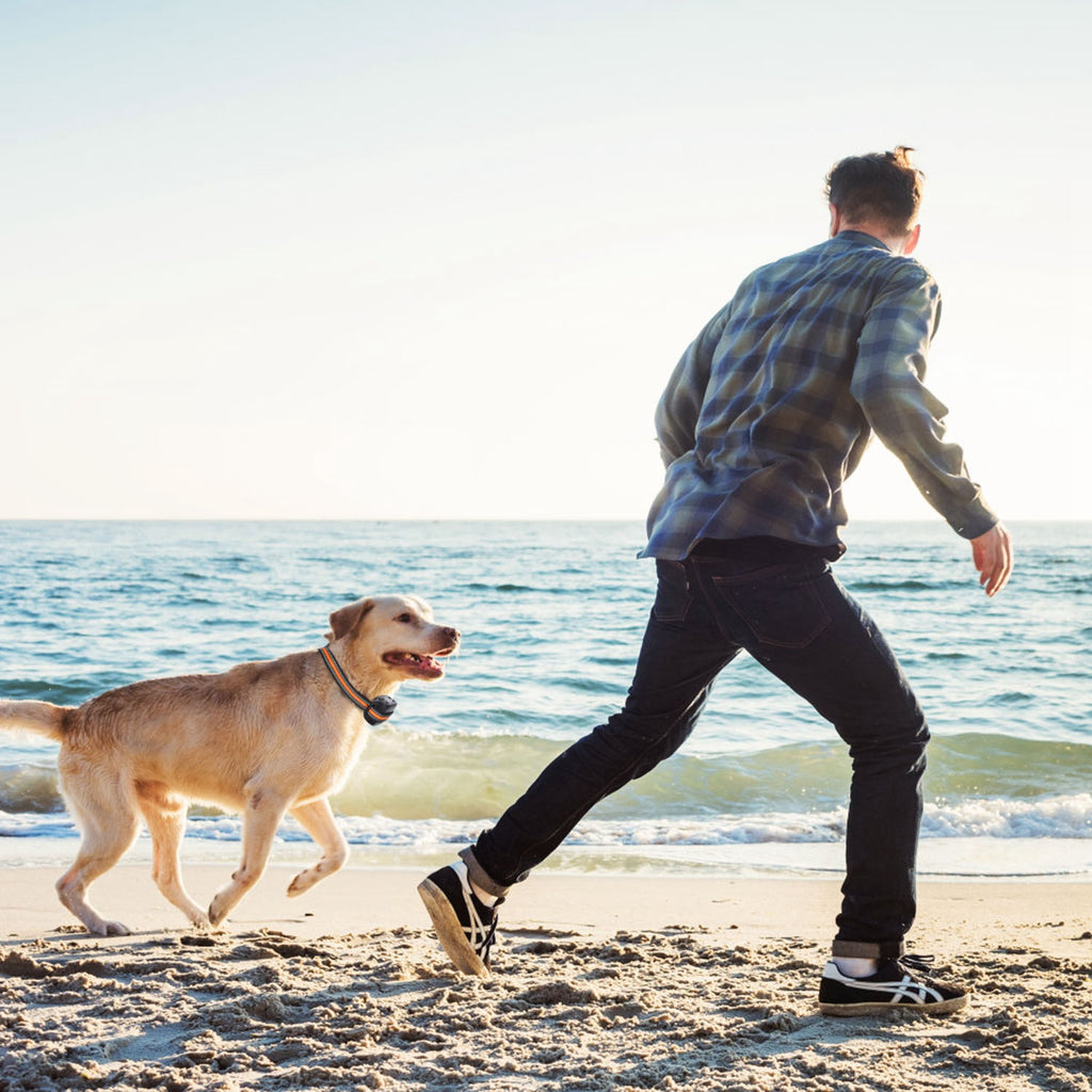 2 In 1 Dog GPS Fence Tracker Wireless GPS Dog Fence GPS Dog Collar With 32-2887FT Radius IPX6 Waterproof For Small Medium Large Dogs