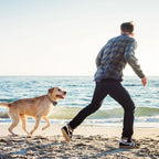 2 In 1 Dog GPS Fence Tracker