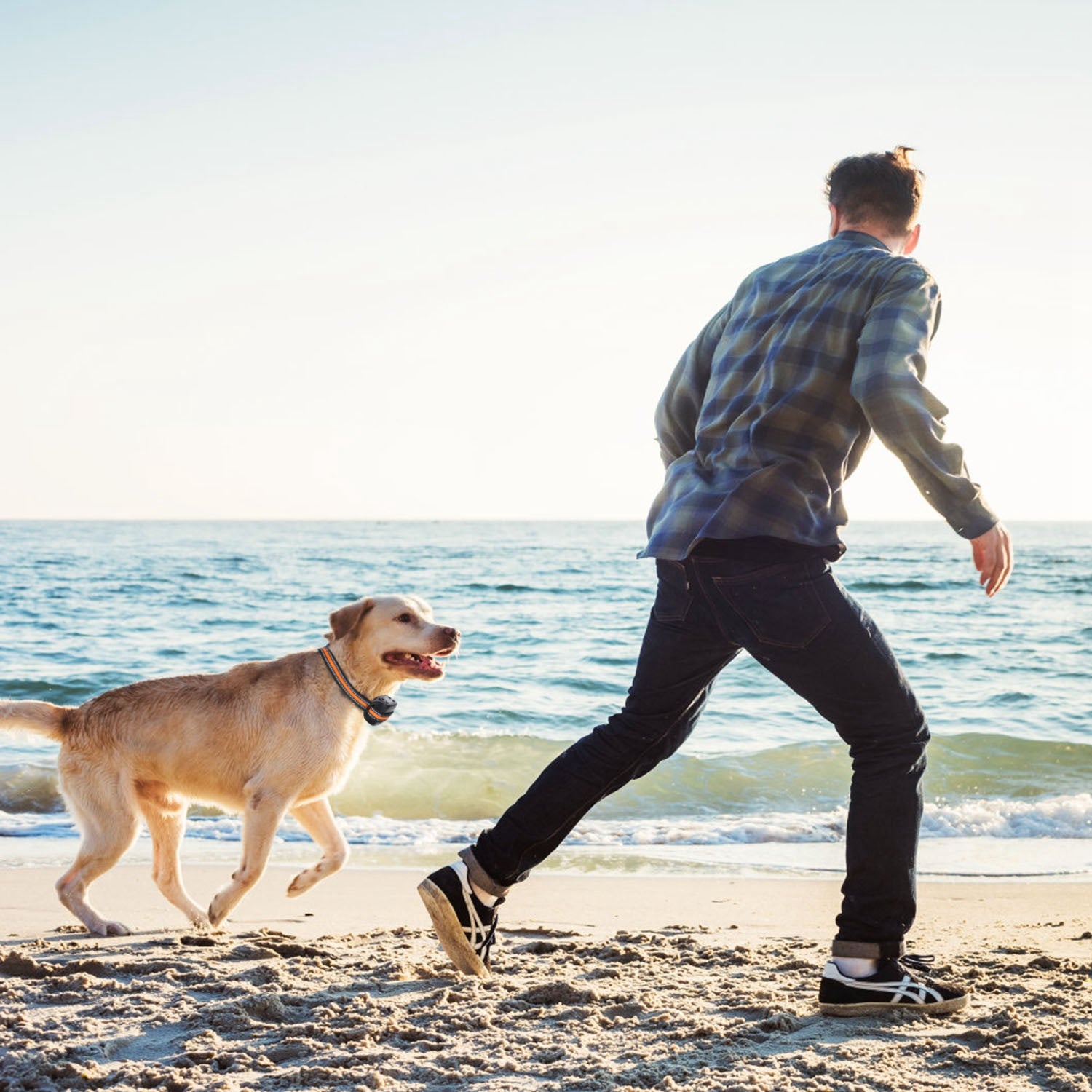 2 In 1 Dog GPS Fence Tracker Wireless GPS Dog Fence GPS Dog Collar With 32-2887FT Radius IPX6 Waterproof For Small Medium Large Dogs