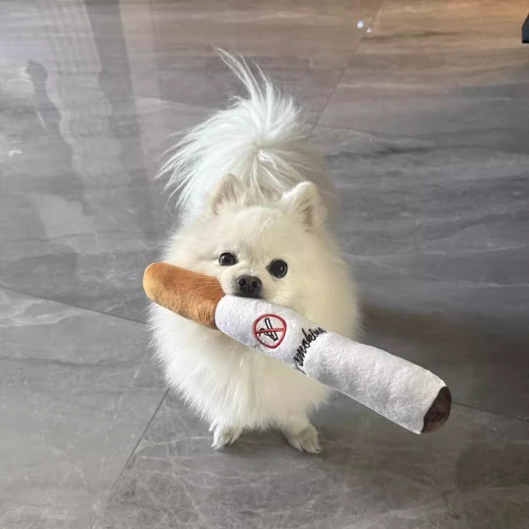Pet Cigarette Squeaky Toy