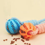 Rope & Ball Dog Toy