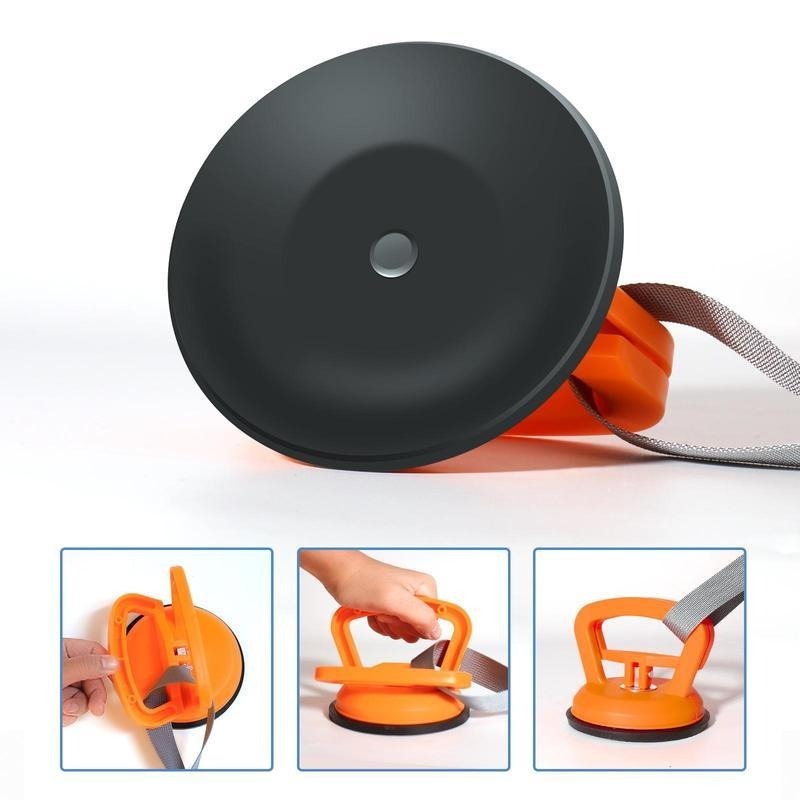 Interactive Shark Rope