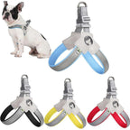 Adjustable Dog Harness (Color Options)