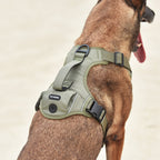 High-Perfomance Tactical Dog Harness With Poop Bag Holder