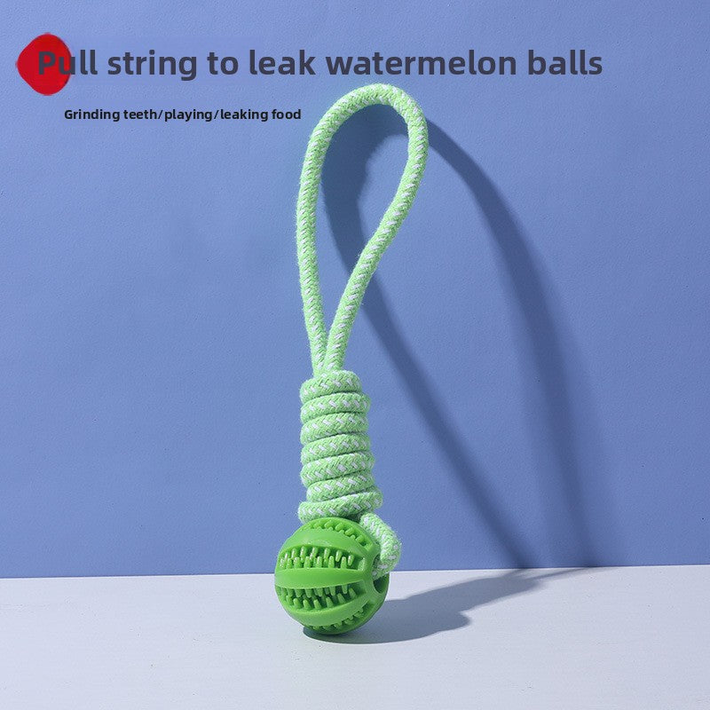 Rope & Ball Dog Toy
