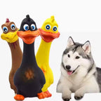 3pcs Eco Friendly Screaming Chicken Toys
